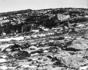 Ansammlung von Granitblöcken : Eine Ansammlung von Granitblöcken am Hagerman Pass