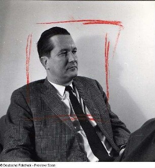 Portraitserie William Styron