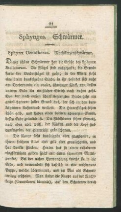 Sphynges. Schwaermer.