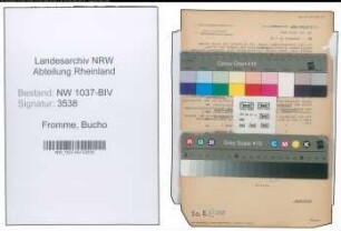 Entnazifizierung Bucho Fromme , geb. 17.02.1896 (Amtsarzt)
