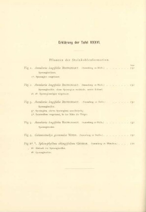 Erklärung der Tafel XXXVI.