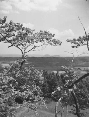 Cotta, Blick auf Lilienstein : Cotta. Blick von Cottaer Spitzberg nach Osten. Hinten Lilienstein und Königstein