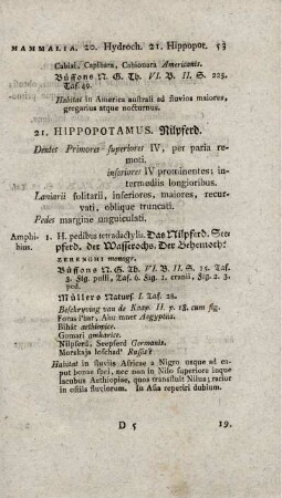 21. HIPPOPOTAMUS