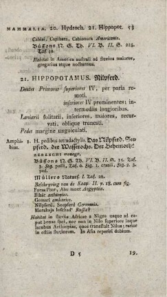 21. HIPPOPOTAMUS