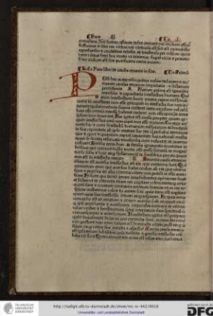 Post hoc autem relinquitur nobis declarare et numerare causus errorum impietatis et sectarum perditionis...