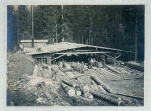 Foto des Sägewerks und Köhlereibetriebs Prayé am Donon