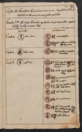 Formatio 7ma est, cujus Radicales ex septem lineis vel punctis constant habetque capita numero 20
