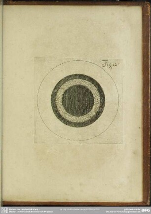Fig. 12.