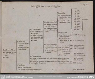 Schlüssel des Sexual-Systems