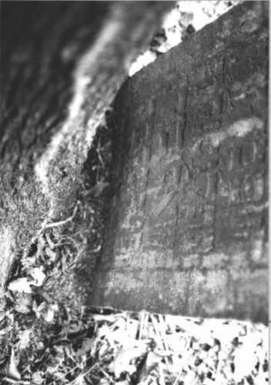 Grabstein 2100 (Detailaufnahme)