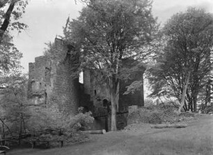 Burgruine Montclair