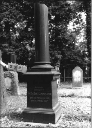 Grabstein 229 [Hahn S. 182 Grab-Nr. 903]
