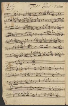 Flauto primo o Violino
