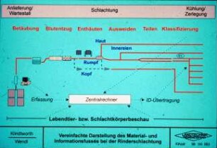 Vereinfachte Darstellung des Material- und Informationsflusses bei der Rinderschlachtung