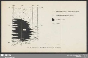 Abb. 11. Schematisches Profil durch die Bohrungen Rottelsdorf