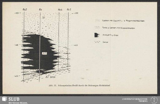 Abb. 11. Schematisches Profil durch die Bohrungen Rottelsdorf