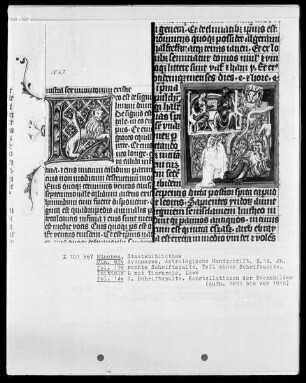 Avenares, Astrologische Handschrift — Buchseite mit Konstellationen der Sternbilder, Folio 13verso — Initiale L mit Löwe, Folio 13verso