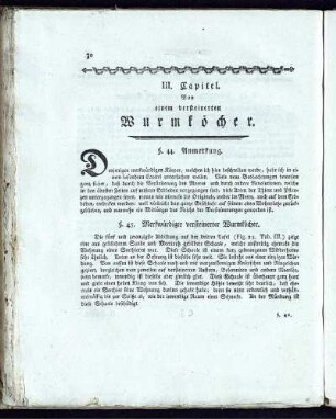 III. Capitel. Von einem versteinerten Wurmköcher.