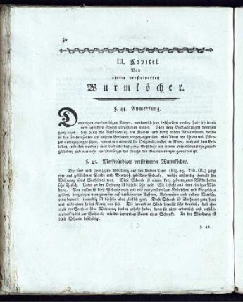 III. Capitel. Von einem versteinerten Wurmköcher.