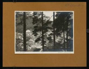 315, Wildbad. Schwarzwald. (Nr. 3926).
