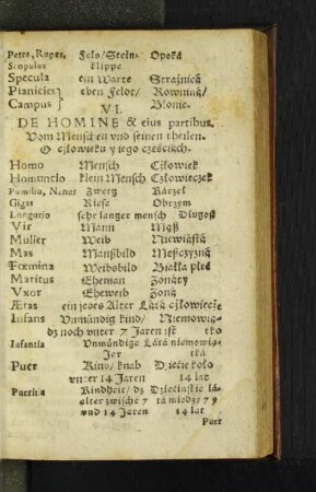 VI. De Homine & eius partibus.