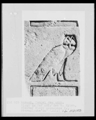 Hieroglyphe