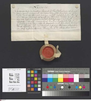 Seligenstadt: Originalia Prälatur Seligenstadt gegen die klösterlichen Hübner zu Stockstadt puncto glandis legendae pro tertia porte in dem Stocks...
