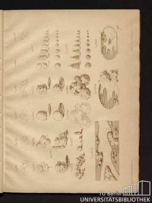 Tafel IX. Fig. XX bis Fig. XXXIX.