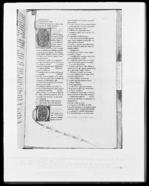 Heisterbacher Bibel — Zwei Initialen D, Folio 464recto