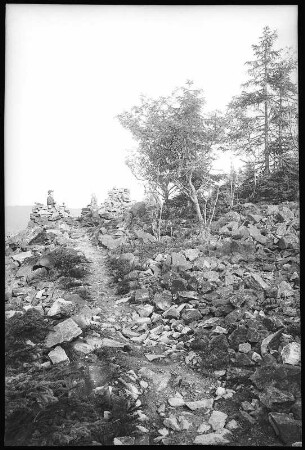 Bärenfels. Spitzberg
