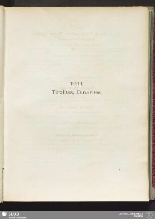 Tafel I. Tirolites, Dinarites