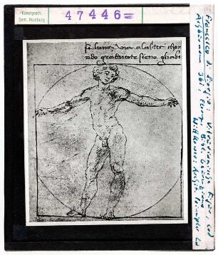 Francesco di Giorgio Martini: Vitruvianische Figur