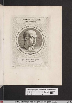 Porträt des Publius Cornelius Scipio Africanus.