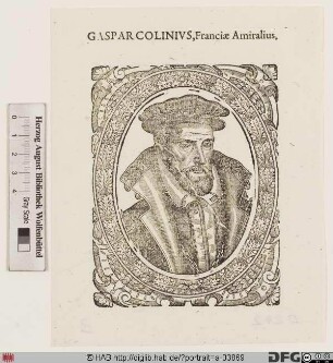 Bildnis Gaspard II de Coligny, seigneur de Châtillon