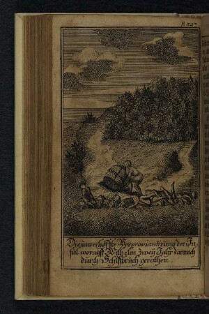 Die unverhoffte Verproviantirung der Insul worauff Wilhelm zwey Jahr darnach durch Schiffbruch gerathen.