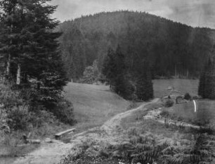 Berglandschaft : Blick auf eine Wiese mit einem Bach vor Berghängen mit Bergwald