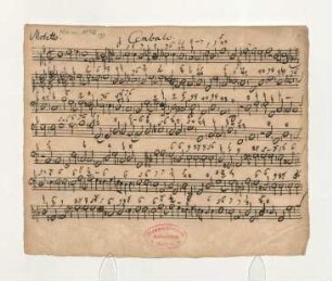 Cembalo & Organo
