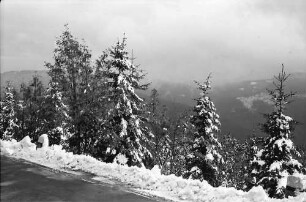 Hornisgrinde: Schwarzwaldhochstraße im Schnee; verschneite Bäume