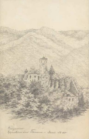 Burgruine - Eppstein im Taunus