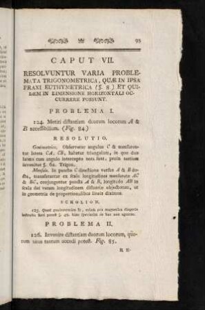 95-106, Cap. VII.