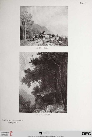 Tafel I-XII