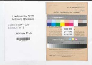Entnazifizierung Erich Liebchen , geb. 20.09.1908 (Angestellter)