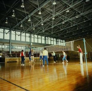 Sport, Volleyball-Mannschaft