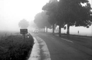 Autofahren im Nebel