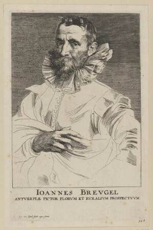 Bildnis des Ioannes Brevgel