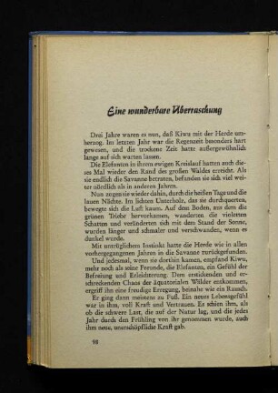 Eine wunderbare Überraschung