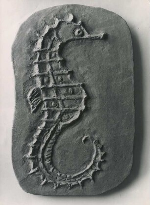 Seepferdchen Relief von Otto Hohlt