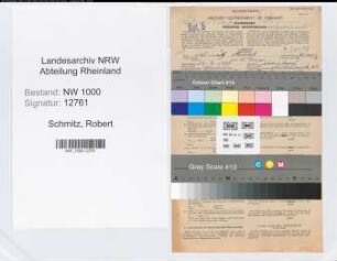 Entnazifizierung Robert Schmitz, geb. 12.10.1890 (Bankangest.)