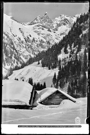 Allgäuer Alpen, Trettachspitze und Mädelegabel von Einödsbach