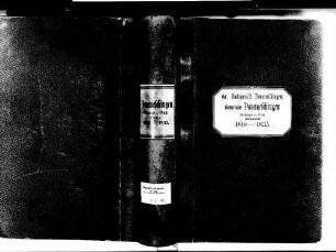 Donaueschingen VS; Evangelische Gemeinde: Geburtenbücher 1810-1835 Donaueschingen VS; Katholische Gemeinde: Geburtenbücher 1810-1835